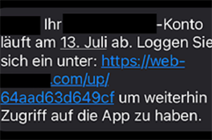 Screenshot als Beispiel für eine solche Nachricht
